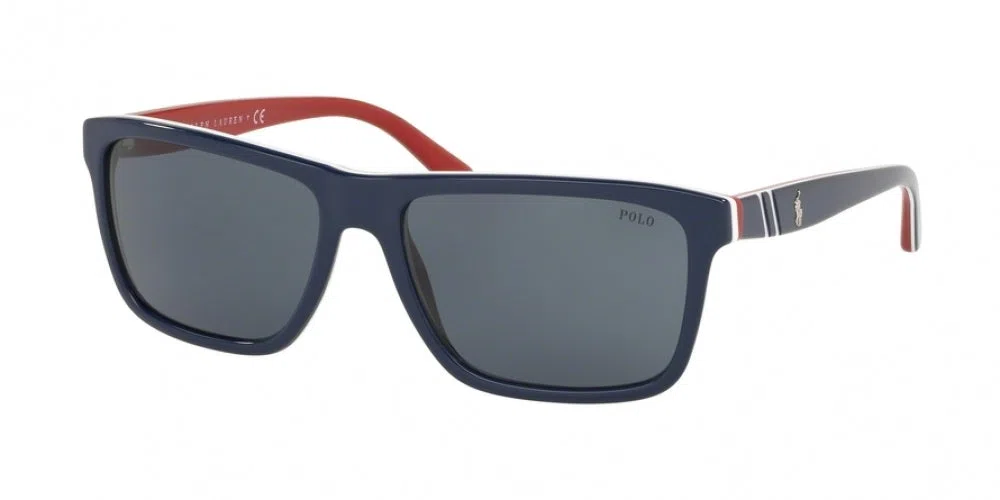 Polo 4153 Sunglasses - view 5